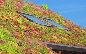 Godmanchester living roof systems